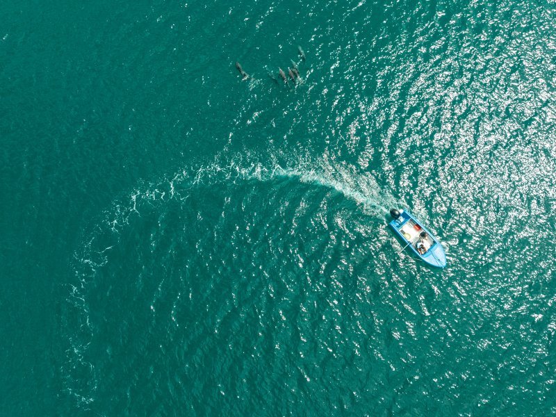 Resort Activities &raquo; Activities